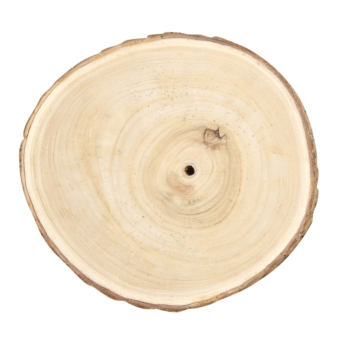 Paulownia Wood Slice