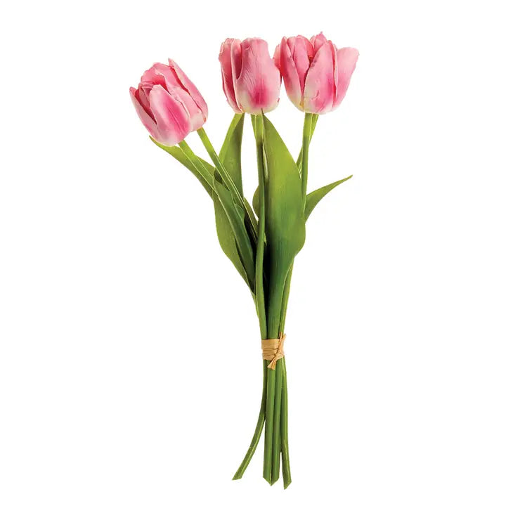 Dutch Tulips, Bundle of 6